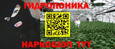 мяу мяу мука Гусь-Хрустальный