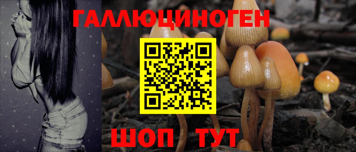 Выкса  Галлюциногенные грибы GOLDEN TEACHER  Вход с VPN  Галлюциногенные грибы мицелий 